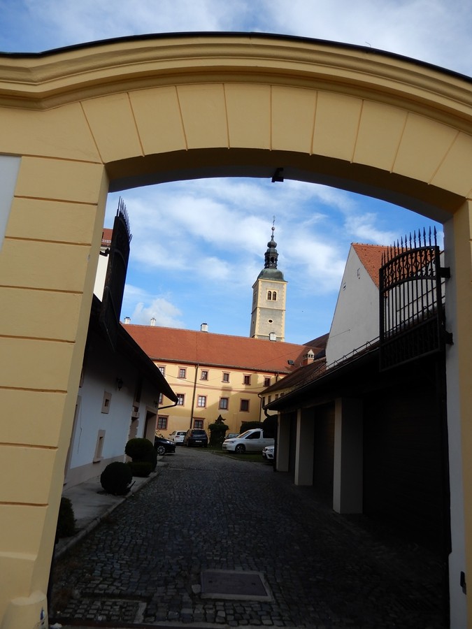 19. 12. 2024 - foto povečava