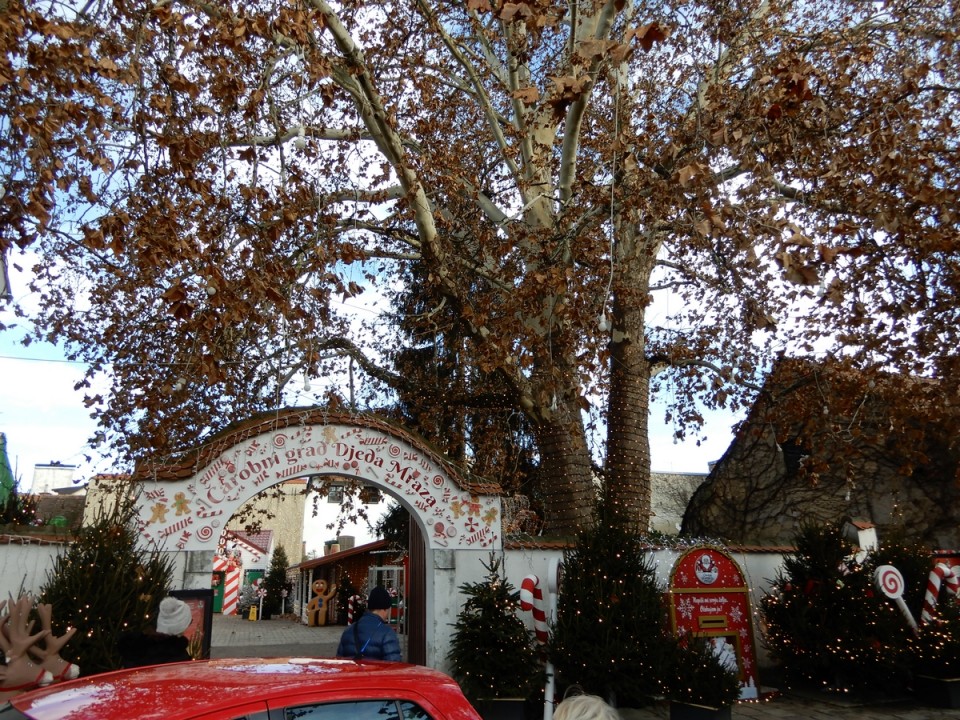 19. 12. 2024 - foto povečava