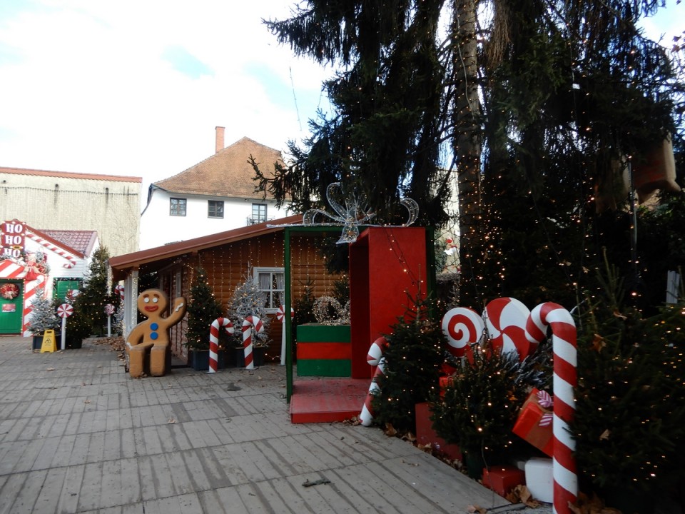 19. 12. 2024 - foto povečava