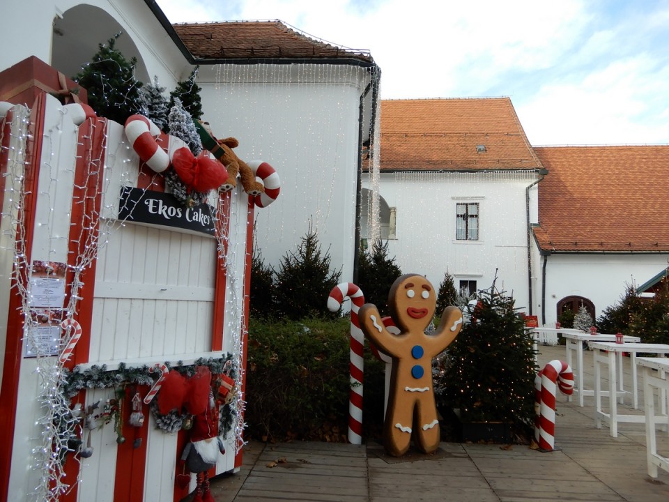 19. 12. 2024 - foto povečava