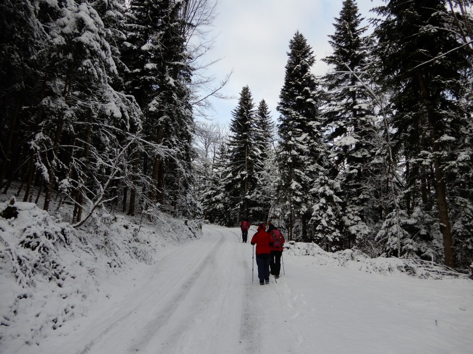 5. 1. 2025 - foto povečava