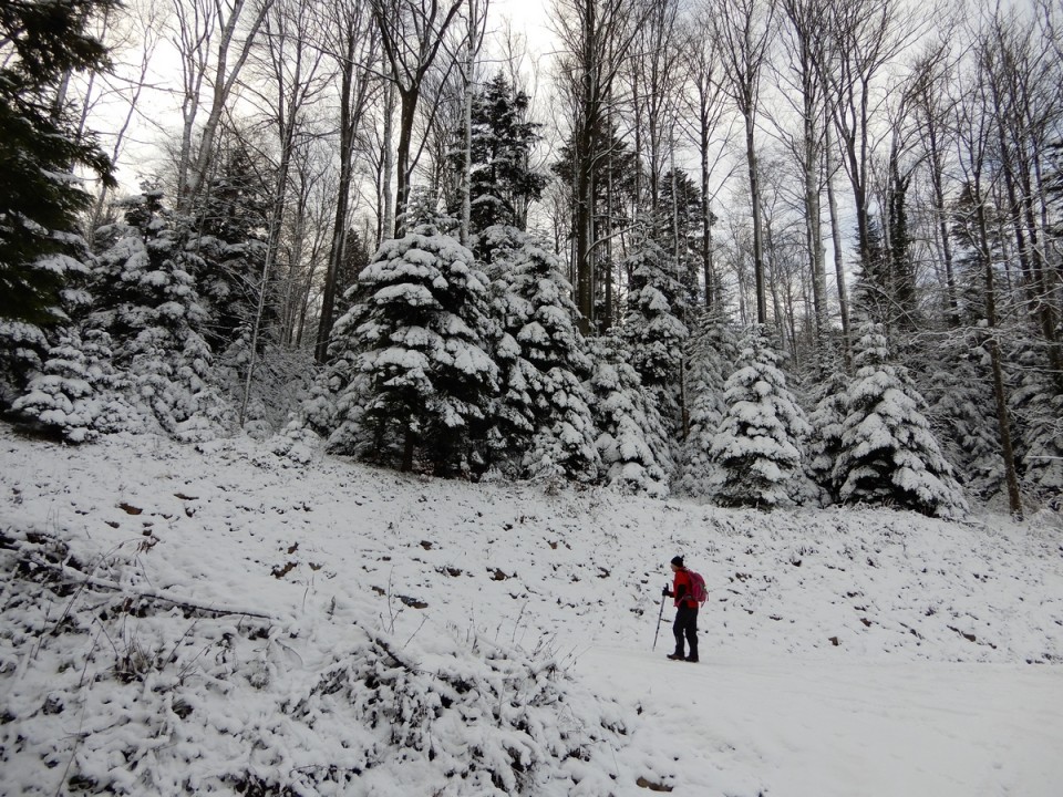 5. 1. 2025 - foto povečava
