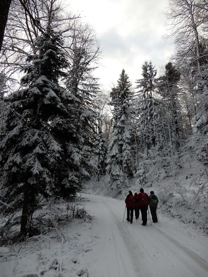 5. 1. 2025 - foto povečava