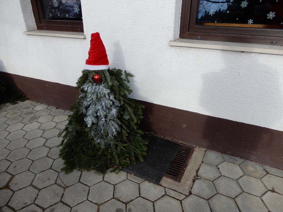 5. 1. 2025 - foto povečava