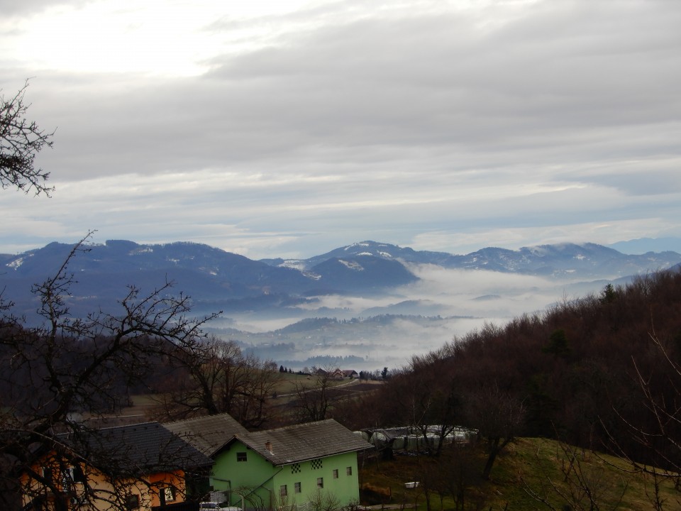 23. 1. 2025 - foto povečava