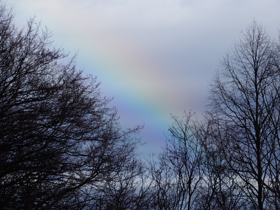23. 1. 2025 - foto povečava