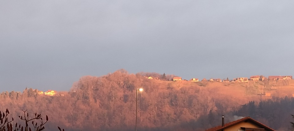 23. 1. 2025 - foto povečava