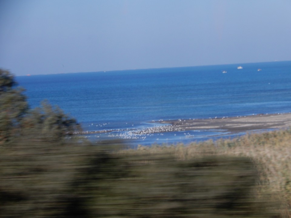 27. 10. 2024 - foto povečava
