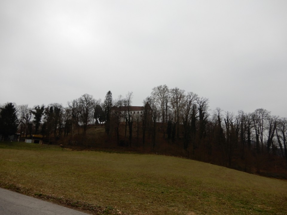10. 2. 2025 - foto povečava