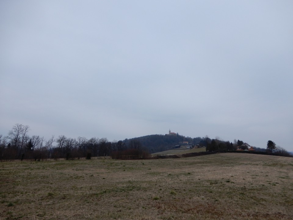 10. 2. 2025 - foto povečava