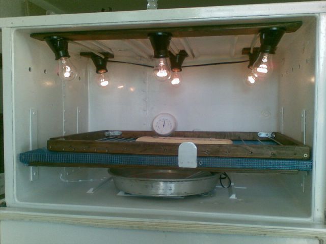 Moj jednoslojni inkubator - foto