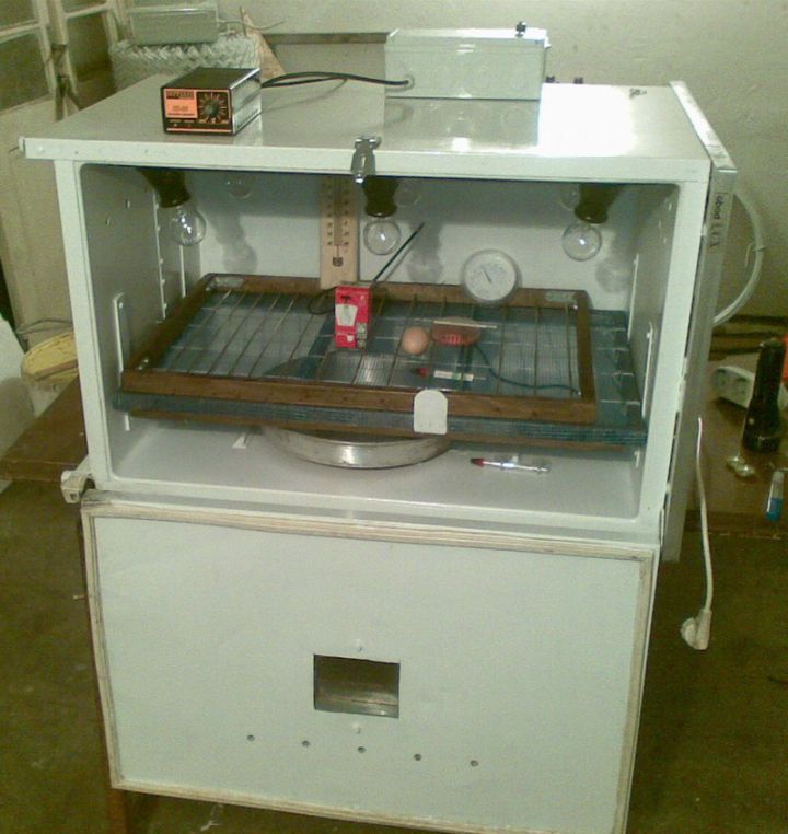 Moj jednoslojni inkubator - foto povečava
