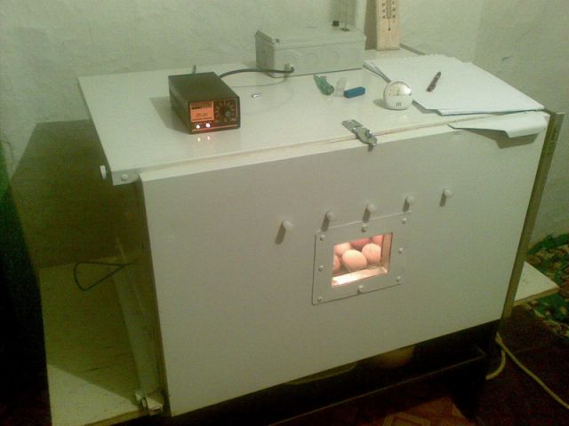 Moj jednoslojni inkubator - foto
