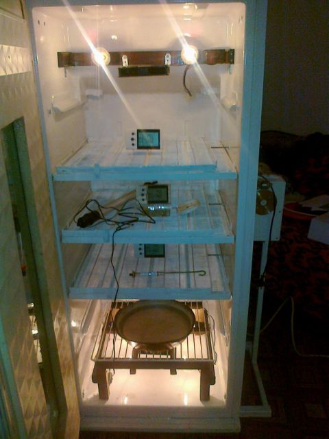 Moj višeslojni inkubator - foto