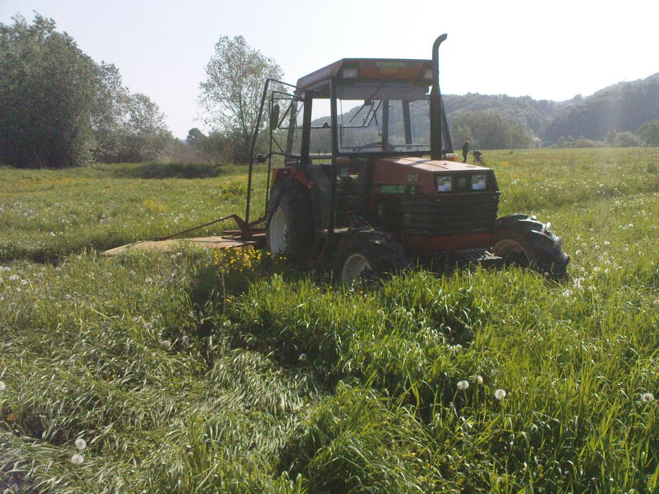 1 košnja 2011 - foto povečava