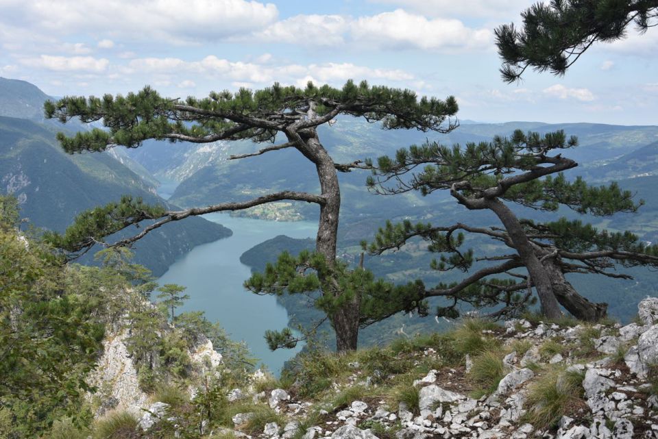 Soba z razgledom 16 - foto povečava