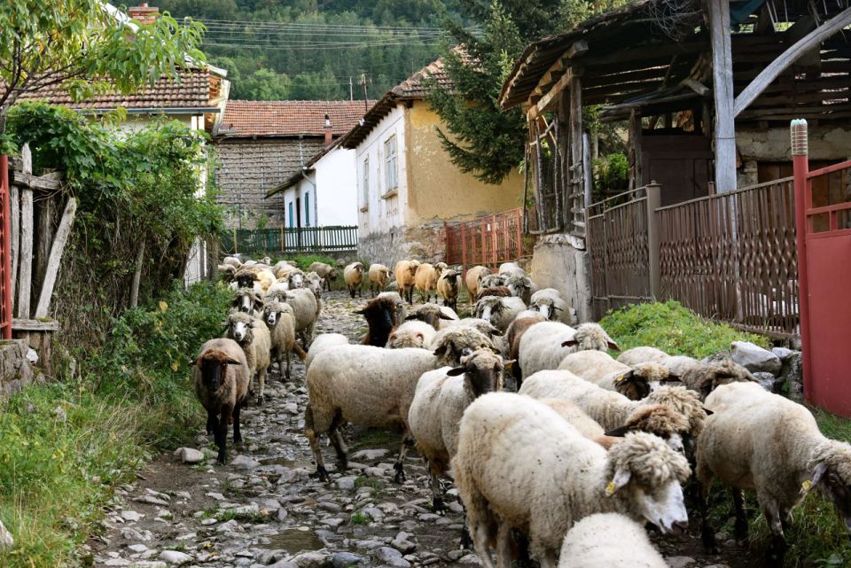 Soba z razgledom 16 - foto povečava