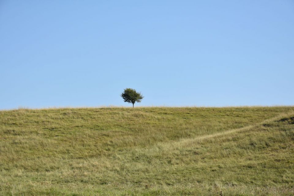 Soba z razgledom 16 - foto povečava