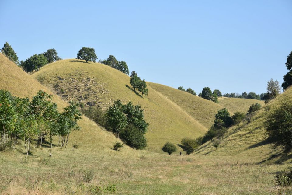 Soba z razgledom 16 - foto povečava