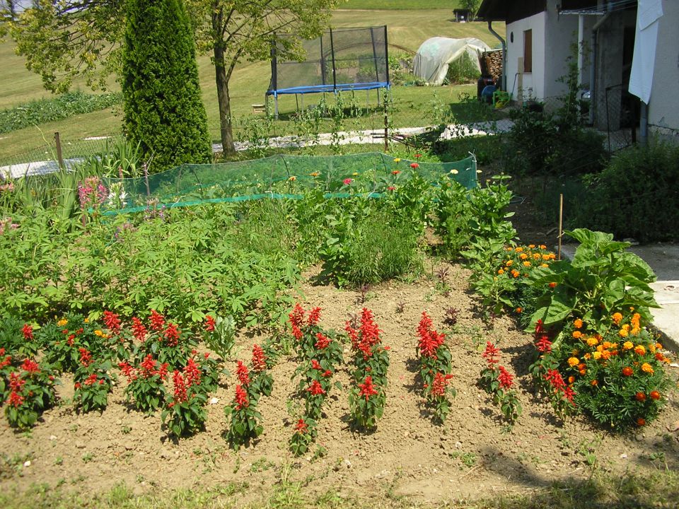 Predhišni vrt z rožami in zelenjavo