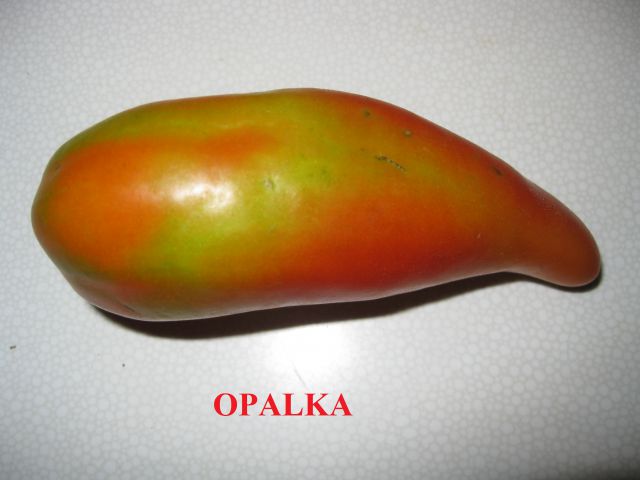 OPALKA