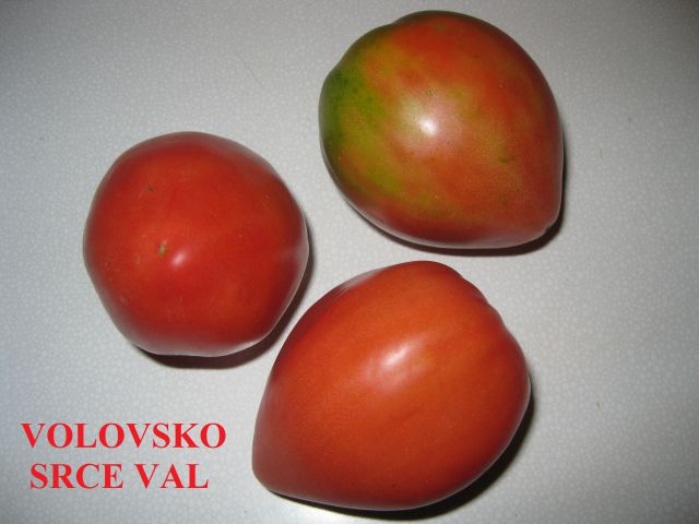 VOLOVSKO SRCE VAL