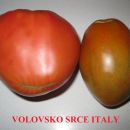 VOLOVSKO SRCE ITALY