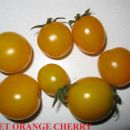 SWEET ORANGE CHERRY