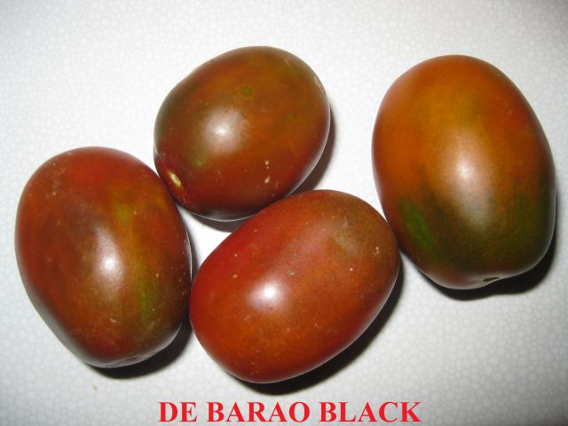 DE BARAO BLACK