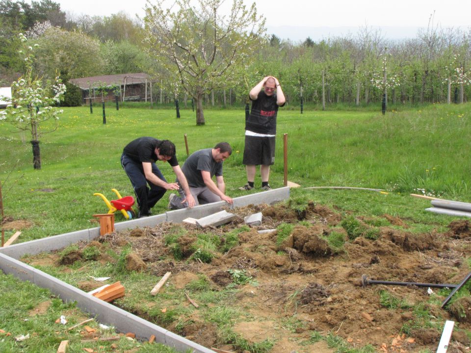 Prvo polletje 2010 - foto povečava