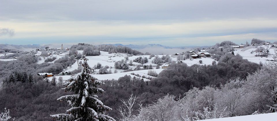 Canon 600D - foto povečava