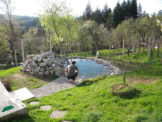 Gradnja ribnika - foto