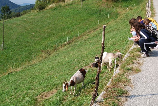 CŠOD KAVKA 4.,5. in 6. razred - foto