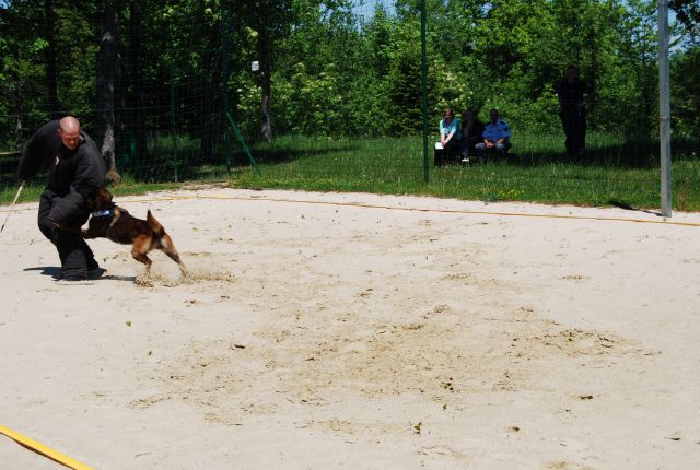 10.05.2012 Tehniški dan  - foto