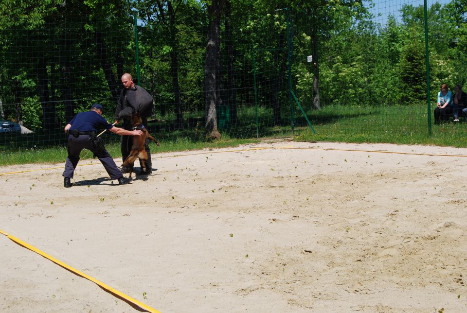 10.05.2012 Tehniški dan  - foto povečava