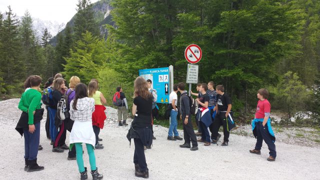 CŠOD PLANICA 2013 - foto