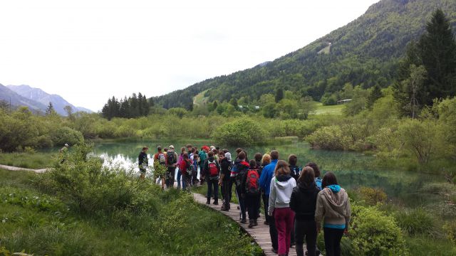 CŠOD PLANICA 2013 - foto