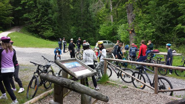 CŠOD PLANICA 2013 - foto