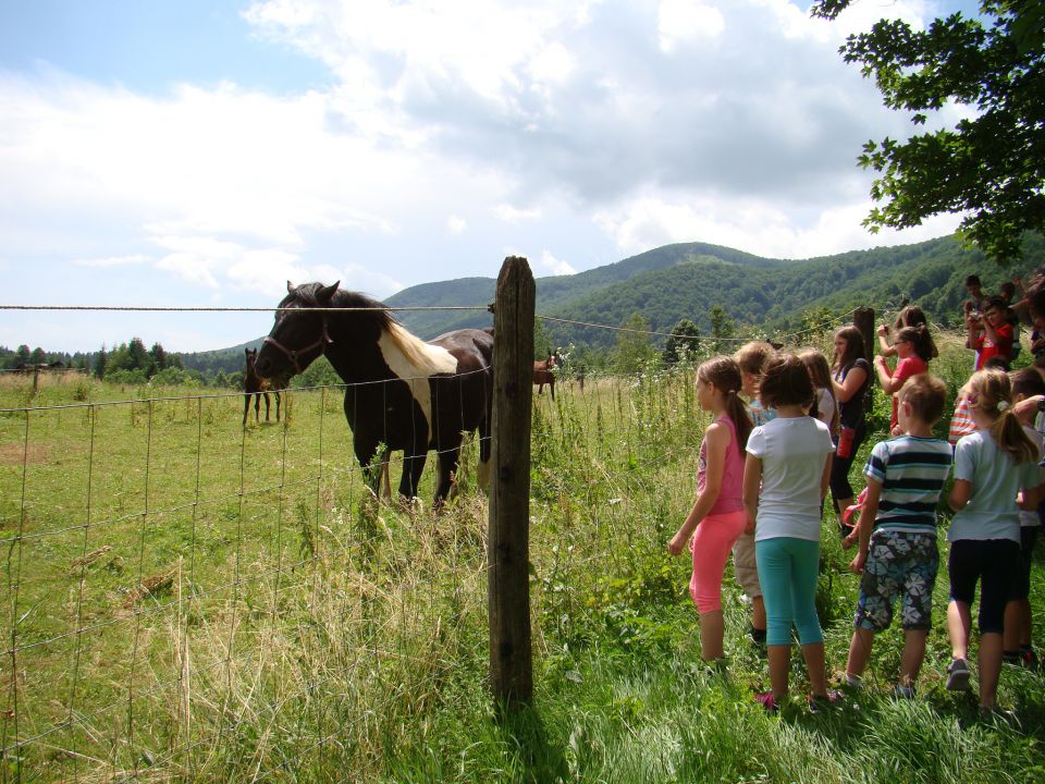 CŠOD ČRMOŠNJICE 1. - 3. razred 2015 - foto povečava