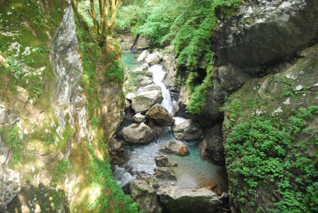 CŠOD TOLMIN + Gardaland 2015 - foto