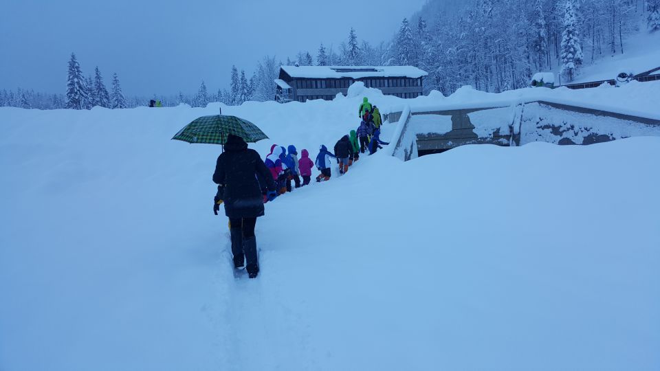 ZIMSKA ŠOLA V NARAVI - PLANICA 2016 - foto povečava