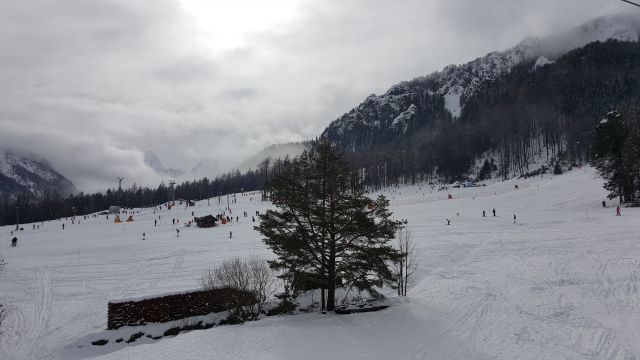 ZIMSKA ŠOLA V NARAVI - PLANICA 2016 - foto