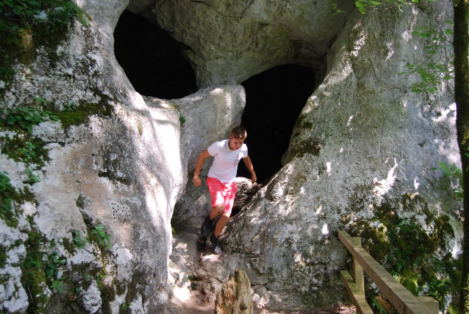 RAKOV ŠKOCJAN - Šola v naravi 7. - 9. razred - foto povečava