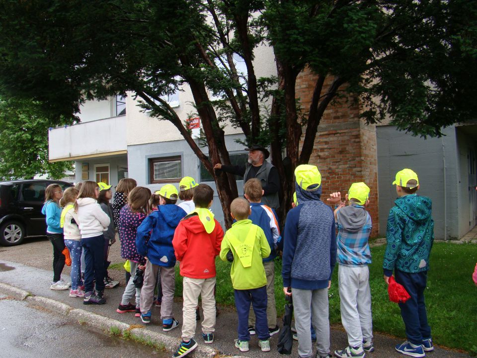 Šola v naravi 1. - 3- razred CŠOD Jurček - foto povečava