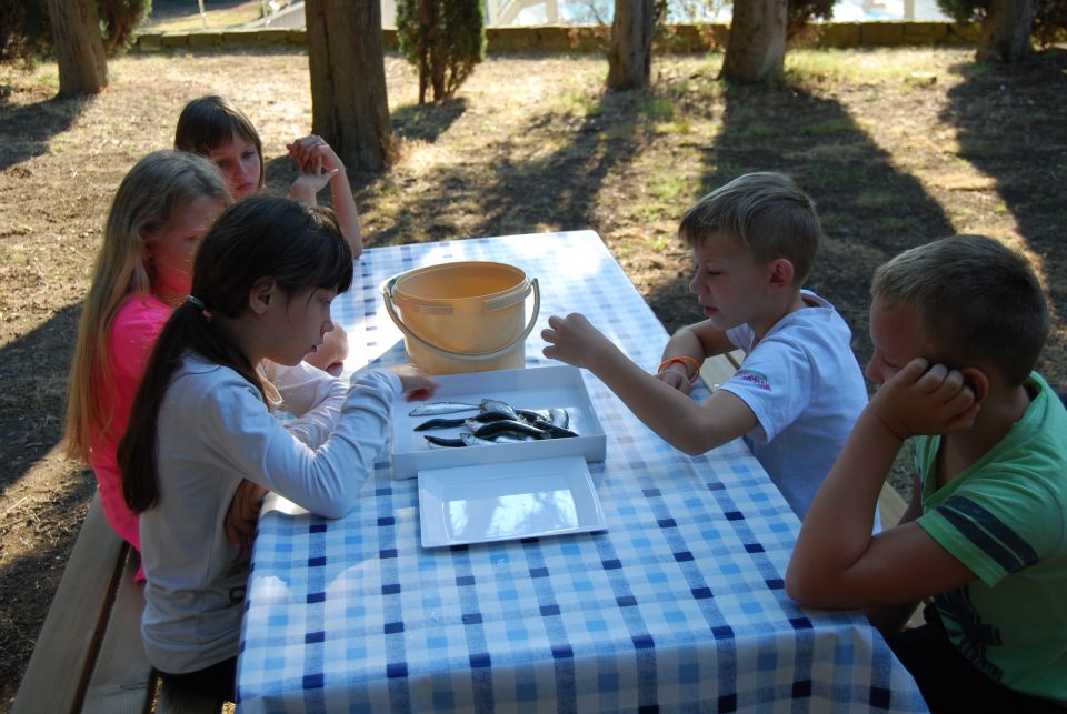 CŠOD SEČA 3.-5. razred 2016 - foto povečava