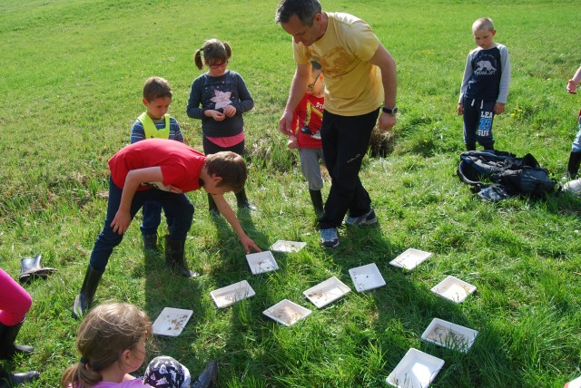 CŠOD ČEBELICA - šola v naravi 1. in 2. razred - foto