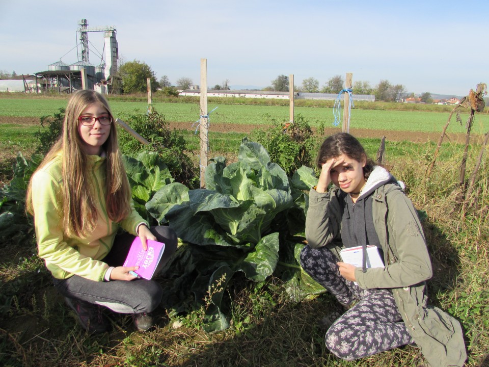 CŠOD ŠTRK 23. 10. - 27. 10. 2017 - foto povečava