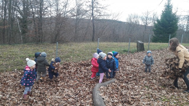 PRIHOD JESENI - LEVČKI - foto