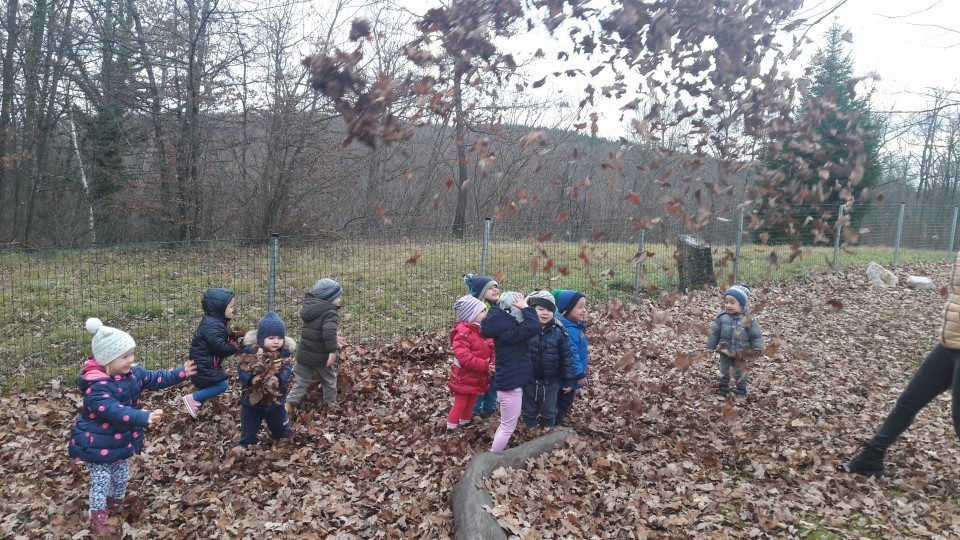 PRIHOD JESENI - LEVČKI - foto povečava