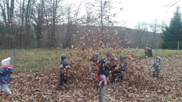 PRIHOD JESENI - LEVČKI - foto